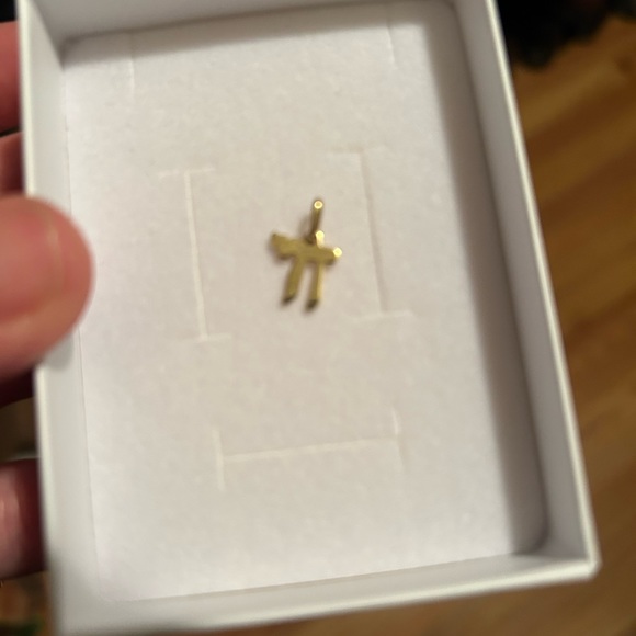 14KT Yellow Gold Jewish Chai Symbol Flat Shiny Pendant Charm "Alive" - Picture 5 of 7